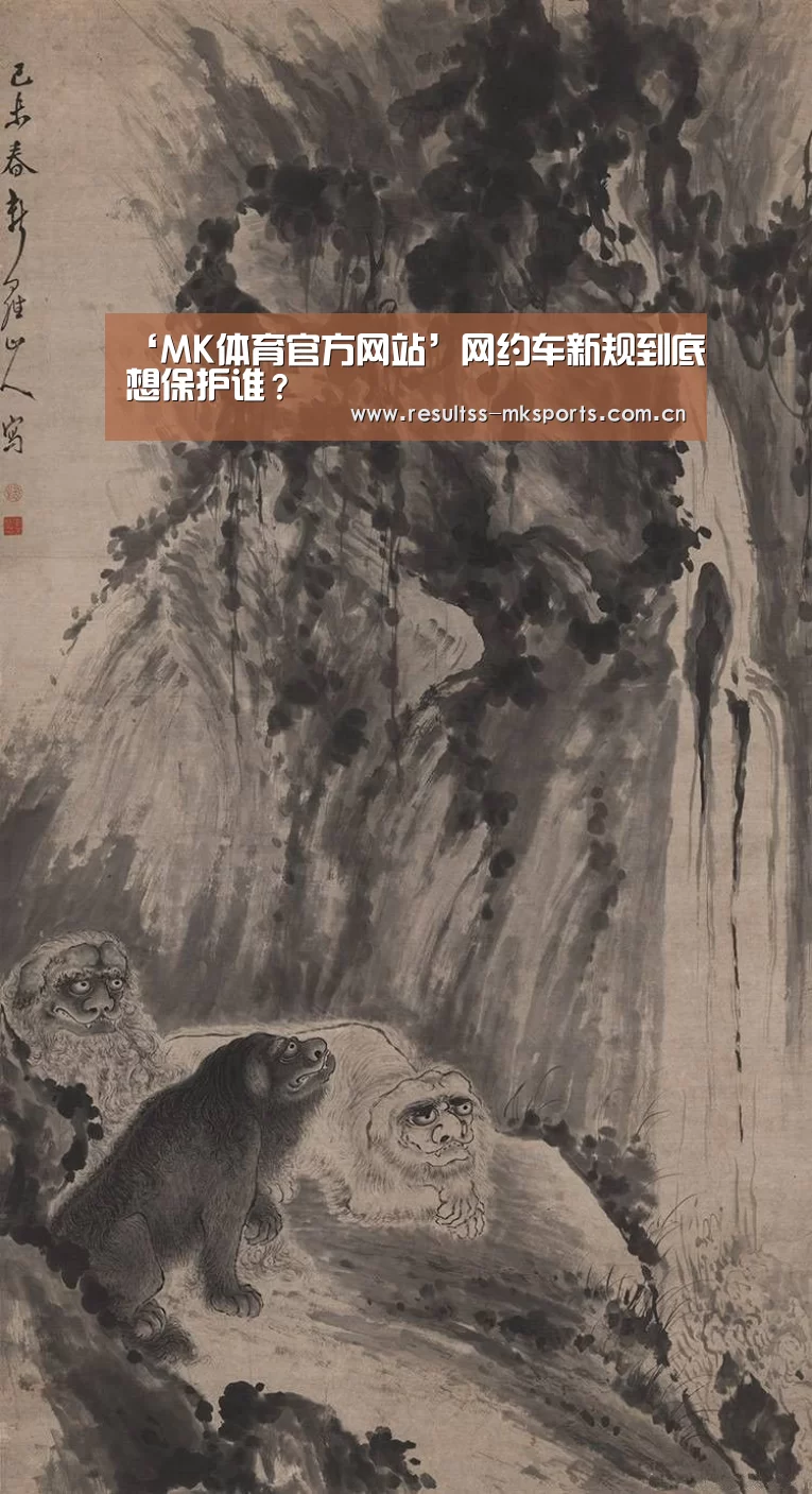 ‘MK体育官方网站’网约车新规到底想保护谁?(图3) MK体育下载