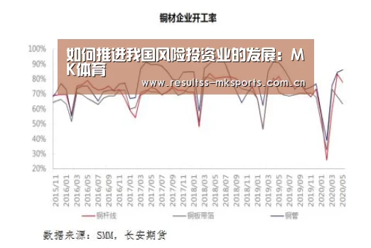 如何推进我国风险投资业的发展：MK体育(图3)