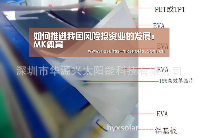 MK体育下载