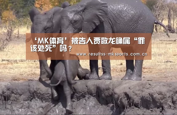 ‘MK体育’被告人贾敬龙确属“罪该处死”吗?(图2) ‘MK体育’被告人贾敬龙确属“罪该处死”吗?(图2)