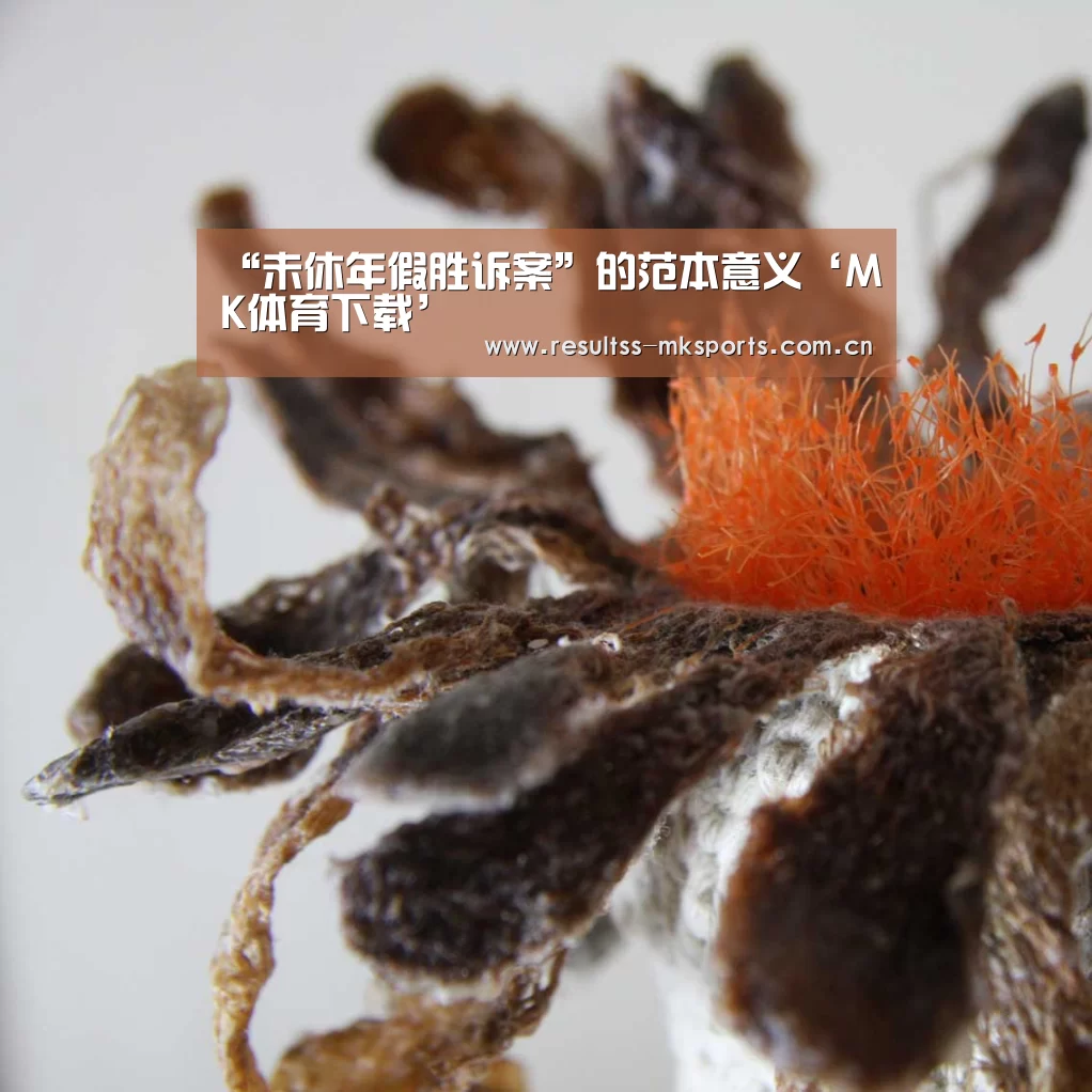 “未休年假胜诉案”的范本意义‘MK体育下载’(图1) “未休年假胜诉案”的范本意义‘MK体育下载’(图1)