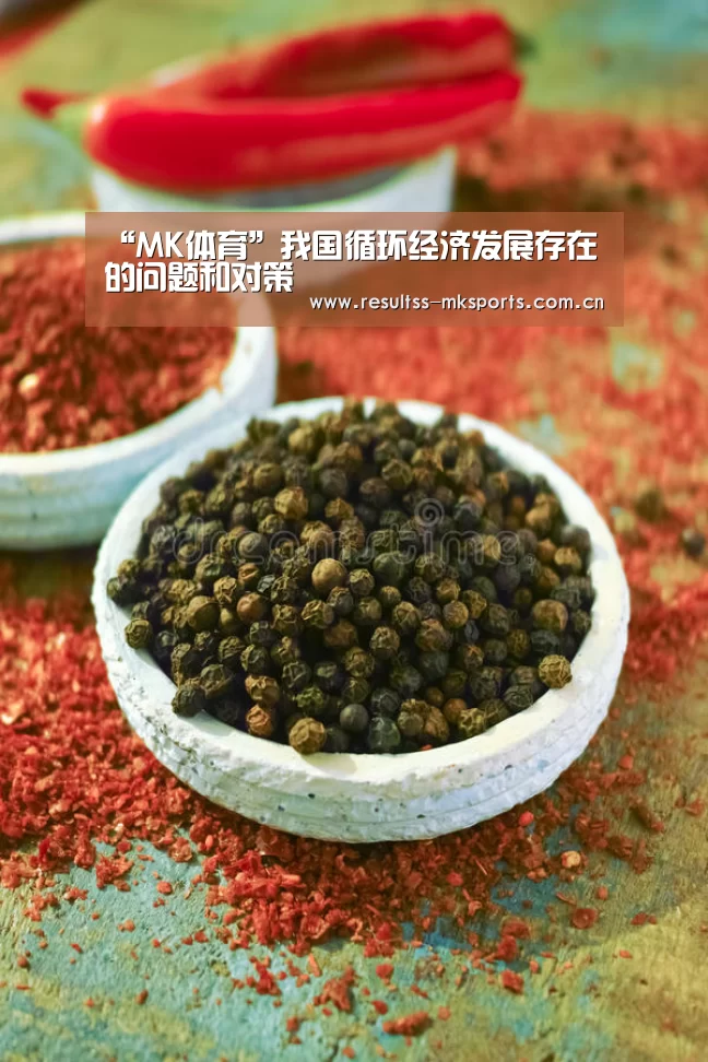“MK体育”我国循环经济发展存在的问题和对策(图1) MK体育下载