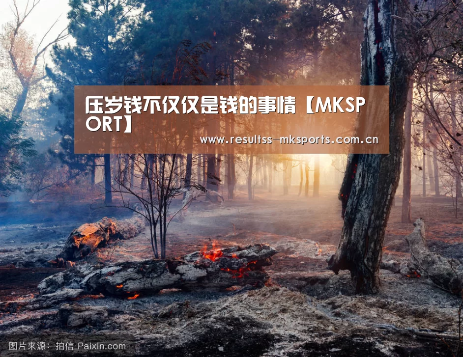 压岁钱不仅仅是钱的事情【MKSPORT】(图1) MK体育app